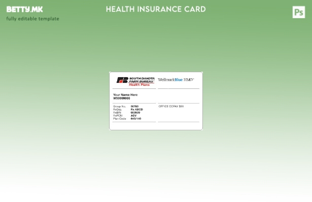 Модерен стил Шаблон за картичка за здравствено осигурување во Јужна Дакота